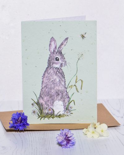 Wildfllower Seed Cards